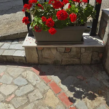 Elena Hotel