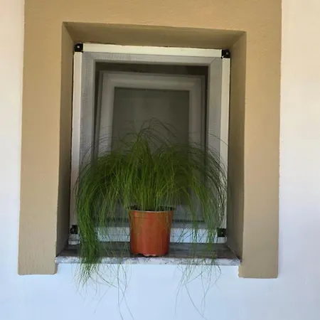 Hotel Elena